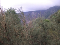 nte Rinatu-20110615 061